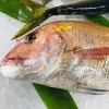 「魚魚市場鮮魚コーナーおすすめは「チカメキントキ」「生わかめ」です♪」