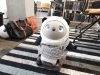 可愛いLOVOT（らぼっと）「【ささやんの気まぐれIT】No.2〜LOVOTに出会う❣️〜」