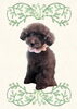「Dog salon mofu mofu　余市町」