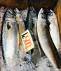 「魚魚市場鮮魚コーナーおすすめは「クロムツ・アラカブ」です♪」