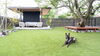 「🐾 愛犬と一緒に愉しむドッグガーデン🍃【庭と光の専門家　外構・エクステリアのlittle bear garden】」