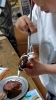 集中してます。「虫がとまる木を作る」
