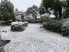 雪景色（その２）「雪景色の西大寺文化資料館」