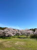 「🌳新しい1年の始まり🌳」