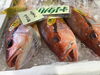 「魚魚市場鮮魚コーナーおすすめは「チカメキントキ」です♪」