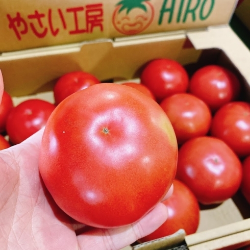 「奥州市江刺地区「やさい工房HIROトマト」」