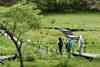 「雨に包まれる神秘的な日本すずらん」