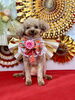 ララちゃん「Happy New Year」