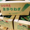 「宮城県産　曲がりねぎ 先週から岩手県南青果市場に「曲がりねぎ」の入荷が始まりました～。」