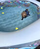 スイスイ🐠「ましゅまろプールDAY🐠」