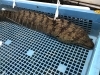 「魚魚市場鮮魚コーナーおすすめは「本ガツオ」です♪」