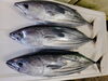 「本日金曜日は、お刺身とお惣菜の販売です！」