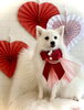 ＣＯＣＯちゃん／シャンプーコース「Happy Valentine ♡」