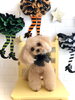 はなちゃん「Ｈappy Halloween🎃」