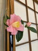 「3月24日(月) 定休日です☆」