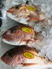 「魚魚市場鮮魚コーナーおすすめは「ヒオウギ貝・バーベキュー3点セット」です♪」