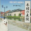 「今日のお友達」