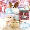 パピヨン カット「ðŸ¶ã‚´ãƒ¼ãƒ«ãƒ‡ãƒ³ã€ãƒˆã‚¤ãƒ—ードルã€ãƒˆãƒªãƒŸãƒ³ã‚°ã®ãŠå‹é”🌷ã€
