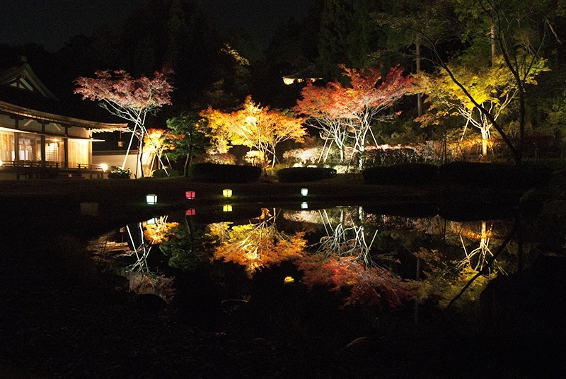北上 一関 奥州のおすすめ 紅葉スポット まいぷれ 花巻 北上 一関 奥州 北上 一関 奥州のおすすめ 紅葉スポット まいぷれ 花巻 北上 一関 奥州