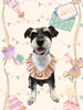 「Dog salon mofu mofu　余市町」