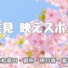 お花見映えスポット橿原・大和高田・御所・明日香村・高取町・葛城市