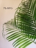 「暑い夏にはグリーンで！」