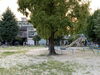 「◇子連れお出かけスポット情報◇ 〜深草東児童公園〜」