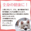虫歯や歯周病は全身へ影響します「犬のデンタルケア」
