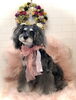 アンちゃん「Happy NEW Year」