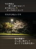 「夜桜とセールのご案内🌸」