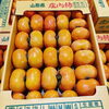 「今年も「庄内柿」の季節がキタよー！！ 山形県産　庄内柿(たねなし柿)」