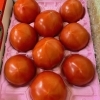「「こだわりくん」入荷してます🍅」