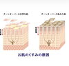 剥がれてくれずに、たまれば、そりゃくすむよね！「くすみ、気になってない？もっと白く、なれるかも！✨」