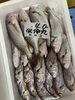 「ハラコ販売中でーす‼️鮮魚パックいろいろ販売中‼️〆鯖も販売致します🐳」