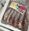 「魚魚市場鮮魚コーナーおすすめは「シビマグロ・アマダイ」です♪」
