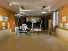 入賞作品42点を展示中③「動物画コンクール入賞作品展」