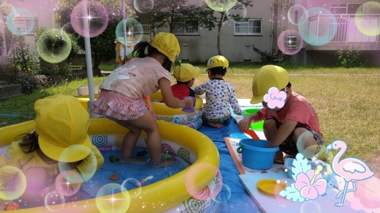 お水遊びに夢中♫「熱中症に気をつけて…【交野市・小規模保育園】」