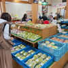 「道の駅木曽福島 紅葉シーズンです！」