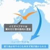 鶏の胸肉に多く含まれている成分。市販の鶏肉でもOK「毎年恒例の「イミダペプチド・おまけ3本（780円分）付き販売会」は今月末まで！」