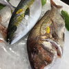 「魚魚市場鮮魚コーナーおすすめは「ノドグロ・天然鯛」です♪」