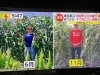 2本目は赤い帽子でフジテレビさん『イット』収録！「☆２つの番組、無事にオンエア📺☆」