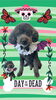 「Dog salon mofu mofu　余市町」