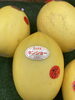 🍈キンショウメロン「GW🍈入荷情報‼️」