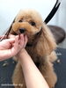 「冬のオプションキャンペーン　^ - ^」