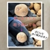 「最高に美味しい！越冬インカの秘密🤫」