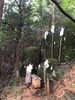 須賀神社奥宮「キャンペーン延長のお知らせ」