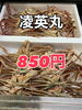 「本日鮮魚入荷致しました」