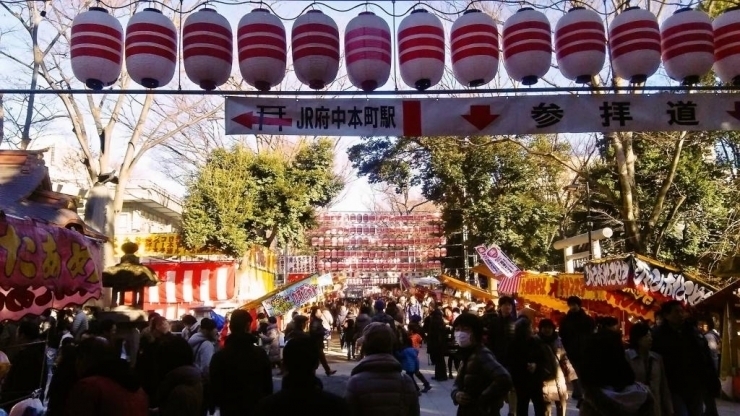 初詣で賑わう大國魂神社 季節を感じる まいぷれ 府中市