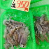 「魚魚市場鮮魚コーナーおすすめは「北海道産ホタテ」です♪」