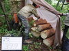 「美山公園の松枯れ伐採くん蒸」